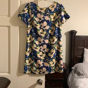 Jcrew dress
